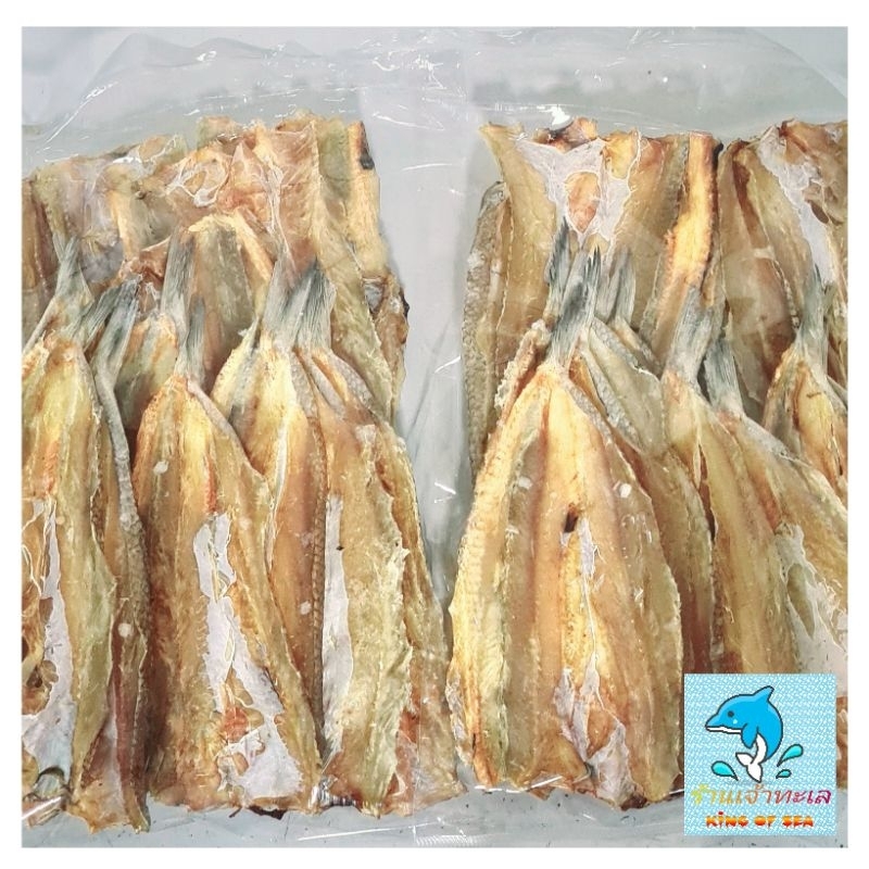 ปลาแห้ง🐟ปลาจิ๊กโก๋🐟ปลาช่อนทะเลSizeบางใหญ่(28-30ตัว/1กิโลกรัม)ไม่เค็ม