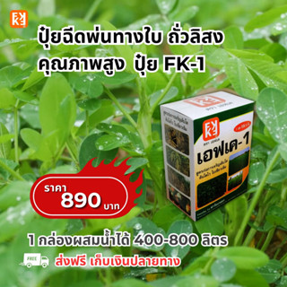 ถั่วลิสง โตไว ใบเขียว เม็ดใหญ่ ผลผลิตดี ฉีดพ่นปุ๋ย FK-1 ต้นทุนต่อไร่ถูกกว่าปุ๋ยเม็ด 4เท่าเพิ่มผลผลิตสูงสุด 20เปอร์เซ็นต์