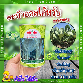 คะน้ายอดไต้หวัน 100 กรัม 🍃  เมล็ดพันธุ์ ตราศรแดง คะน้า คะน้ายอด เมล็ดพันธุ์ผักสวนครัว เมล็ดคะน้า อัตราการงอกสูง