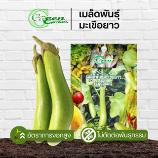 เมล็ดพันธุ์มะเขือยาว (Eggplant) Green Garden