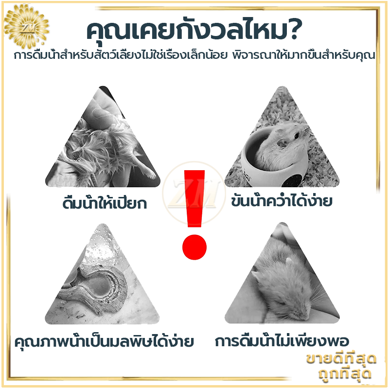 รูปภาพ 6