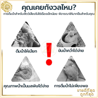 ขวดน้ำแฮมเตอร์ 250ml ขวดน้ำกระต่าย แบบติดกรง อัตโนมัติ ภาชนะสามารถถอดล้างได้ ทำความสะอาดง่าย