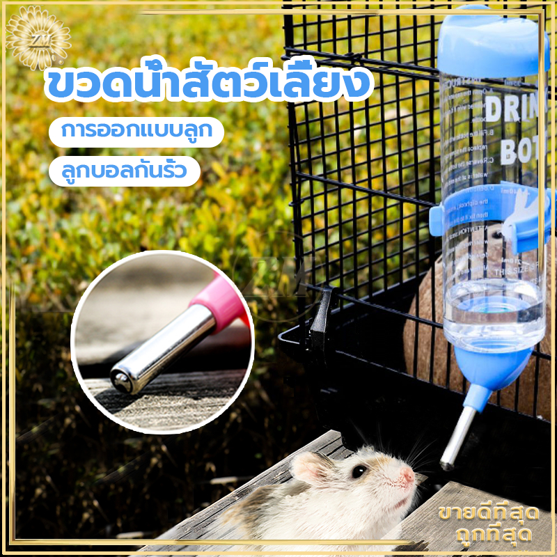 รูปภาพ 3