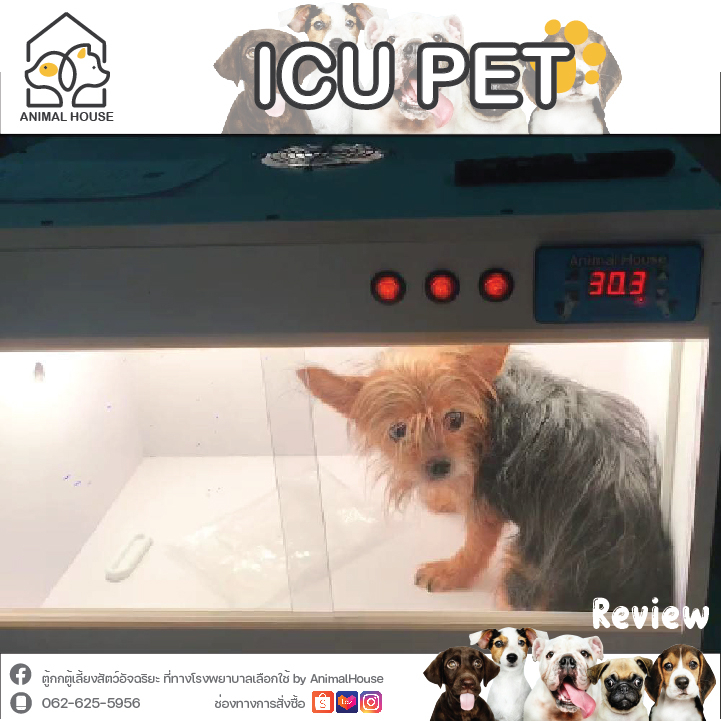 ตู้กกลูกนก ตู้ฟักไข่ ตู้สำหรับสัตว์เลี้ยง Exotic ด้วยระบบควบคุมอัตโนมัติ Size:M - รูปที่ 7