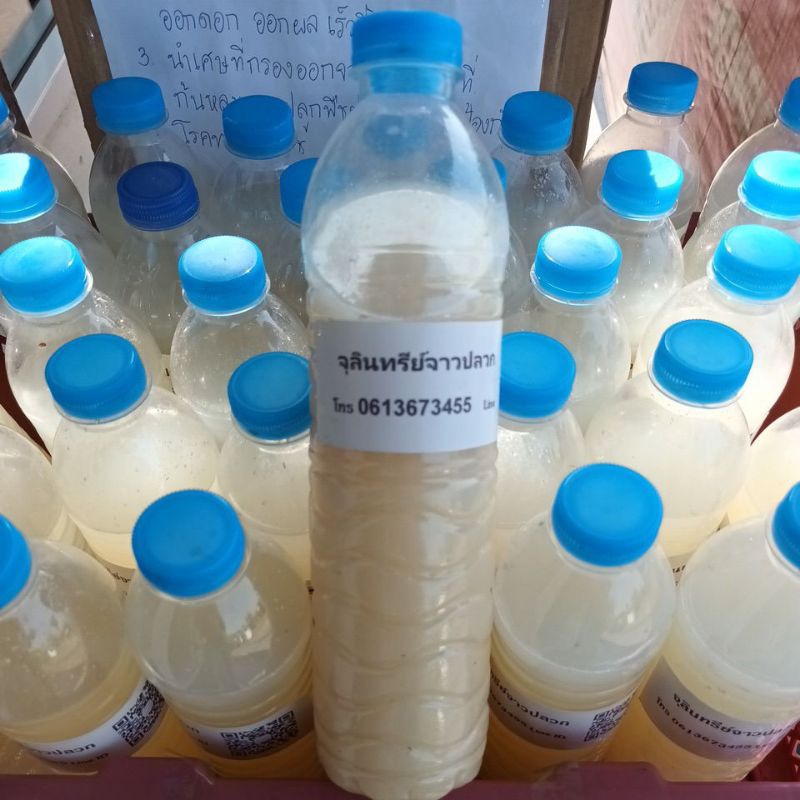 น้ำจุลินทรีย์จาวปลวก สูตรเข้มข้น