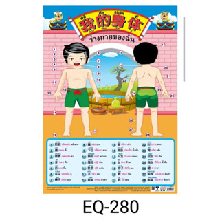 ร่างกายของฉัน ภาษา จีน - ไทย EQ 280 โปสเตอร์สื่อการสอน หุ้มพลาสติก ขนาด 50 * 70 cm