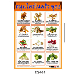 สมุนไพรในครัว 2 EQ 085 โปสเตอร์สื่อการสอน หุ้มพลาสติก ขนาด 50 * 70 cm