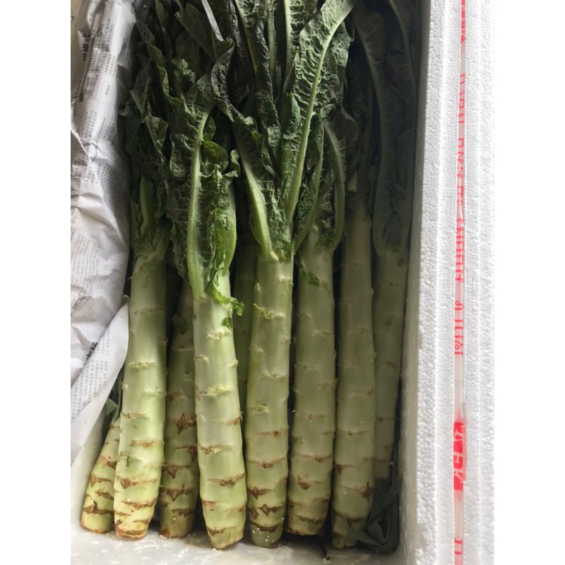 #ผักกาดจีน #ผักกาดจีนสด #ผักกาดจีน20KG #ผักสด #ผัก