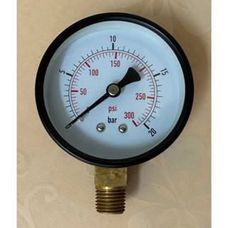 Dry Pressure Guage 2.5" แบบแห้ง เกลียวทองเหลือง 1/4" ออกล่าง