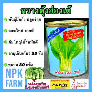 กวางตุ้งฮ่องเต้ ปักกิ่ง ขนาด 80 กรัม หมดอายุ10/2567 ลอตใหม่ งอกดี กวางตุ้ง ปลาทอง ต้นใหญ่ ทรงสวย แข็งแรง โตไว น้ำหนักดี