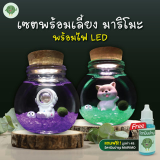 เซ็ท มาริโมะ MARIMO ชุดพร้อมเลี้ยง มีหลายแบบให้เลือก!!