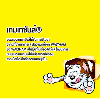 วิสกัส เทมเทชันส์ ขนมแมว แบบแห้ง เม็ดกรุบกรอบ สอดไส้นุ่ม 75g-Whiskas Temptations Cat Treats 75g