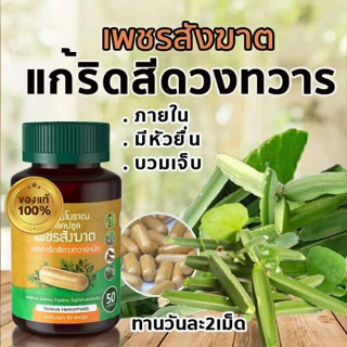 1 กระปุก 50 แคปซูล สมุนไพรเพชรสังฆาต สมุนไพร ริดสีดวง สำหรับบรรเทาอาการ ริดสีดวง ติ่งโผล่ มีหนอง เลือดไหล ได้ทุกอาการ