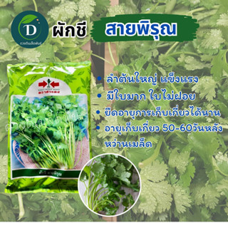 ผักชีสายพิรุณ 300กรัม ตราศรแดง น้ำหนักดี มีใบมาก ใบไม่ฝอย เมล็ดพันธุ์ผักชี