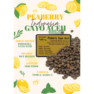 พร้อมส่ง เมล็ดกาแฟ Peaberry Gayo Aceh wet-hulled process/ เมล็ดกาแฟนอก/ สารกาแฟอินโดนีเซีย