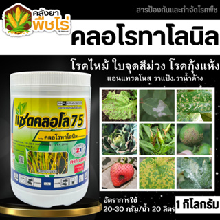 🌽 แซดคลอโล75 (สารคลอโรทาโลนิล) 1กิโลกรัม ป้องกันกำจัดโรคราน้ำค้างในคะน้าที่มีสาเหตุจากเชื้อรา