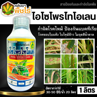 🌽 ไอโซโพไทโอเลน (ไอโซโพรไทโอเลน) 1ลิตร ป้องกันโรคไหม้ในนาข้าว ขอบใบแห้ง