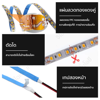 ไฟเส้น หลายสี LED 2835 นำไฟตกแต่ง ไฟปีใหม่ ไฟเส้นสายยาว ไฟติดห้อง ยืดหยุ่น 12V 24V เปลี่ยนฟรี มี 9 สี ให้เหลือก 5M/ 10M