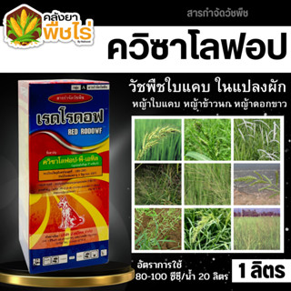 🌽 เรดโรดอฟ (ควิซาโลฟอป-พี-เอทิล5%EC) 1ลิตร ฆ่าใบแคบในแปลงผัก