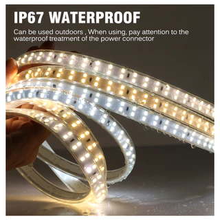 ไฟเส้น แถบไฟ LED ความหนาแน่นสูง ยืดหยุ่น ไฟปีใหม่ 220V ไฟแต่งสวน ไฟติดห้อง เปลี่ยนฟรี ไฟสายยาง 5M/ 10M/15M/20M