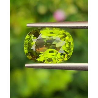 พลอย เพอริดอต พม่า Burma Peridot 4.72 กะรัต (Cts.)