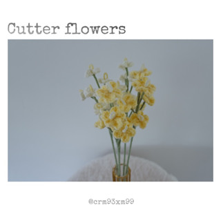 ดอกคัตเตอร์ (cutter flowers)