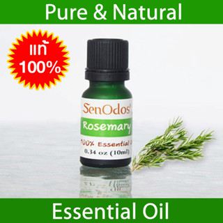 SenOdos น้ำมันหอมระเหยแท้ 100% กลิ่นโรสแมรี่ Rosemary 100% Pure Essential Oil 10 ml