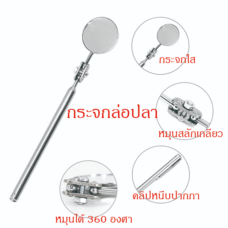 ไม้ล่อปลากัด กระจกล่อปลา ปลากัด กระจก กระจกล่อปลา พร้อมส่งจากไทย