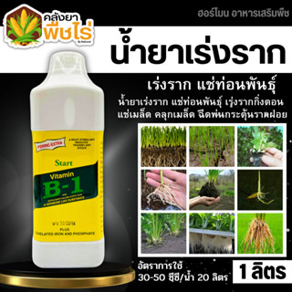 🌽 วิตามินB1 (น้ำยาเร่งราก) 1ลิตร กระตุ้นราก กิ่งตอน กระตุ้นรากฝอย