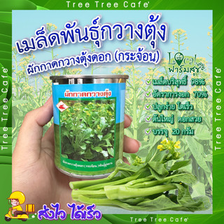 เมล็ดพันธุ์ผักกาดกวางตุ้ง 🍃 ขนาด 20กรัม ผักกวางตุ้งดอก กระจ้อน เมล็ดพันธุ์พืช เมล็ดผักกวางตุ้ง