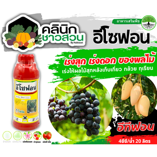 🥬 อีโซฟอน (อีทีฟอน) บรรจุ 1ลิตร ช่วยกระตุ้นการออกดอกของสับปะรด และพืชอื่นๆ