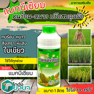 🌾 โฟแมกซ์ (แมกนีเซียม) ขนาด 1ลิตร ช่วยให้ใบพืชเขียวเข้ม พืชตระกูลแตง พืชผักตระกูลกะหล่ำ พืชหัวไม้ผลและไม้ดอกไม้ประดับ