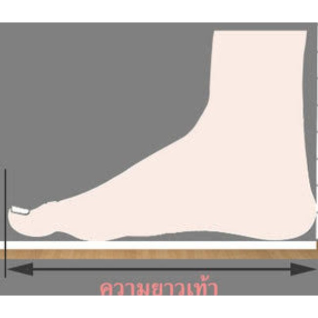รองเท้าแตะหูหนีบชาย ปาปิโล่ รองเท้าแตะฟองน้ำหูคีบชาย PAPILO 138