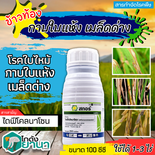 🌾 สกอร์ (ไดฟีโนโคลนาโซล) ขนาด 250ซีซี ป้องกันกำจัดโรคพืชราสนิมขาว