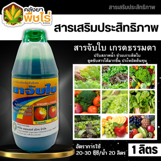 🌽 ยาจับใบ (แพนเตอร์อโกร) 1ลิตร เกาะติด ดูดซึมดี ทนการชะล้าง