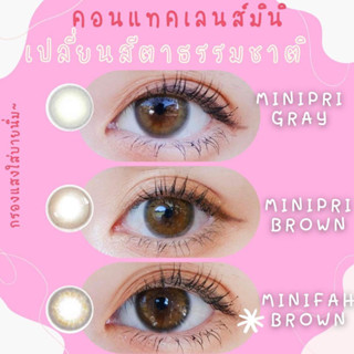 ✨ Brown ขนาดมินิ mini ☀️คอนแทคเลนส์กรองแสง uv เลนส์แท้จดทะเบียนถูกต้อง ผ่านอย.ไทย บิ๊กอายส์