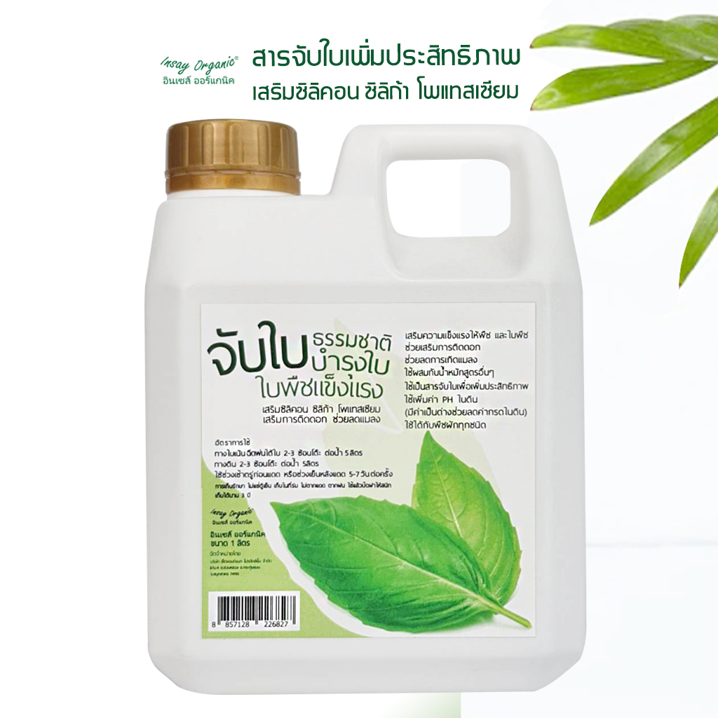 INSAY สารจับใบเพิ่มประสิทธิภาพ การยึดเกาะ ซึมใบ ผสม ซิลิคอน ซิลิกา บำรุงใบ ใช้กับพืช ขนาด 1 ลิตร
