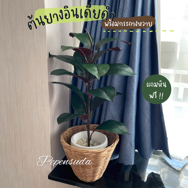 ((สินค้าใหม่))ต้นยางอินเดียดำปลอม+หวาย+หิน สูง 65 ซม. ต้นไม้ปลอมยอดนิยม สินค้าพร้อมส่ง มินิมอสุดๆ