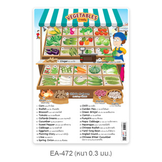 Vegetable Shop โปสเตอร์พลาสติกขนาด A4 EA-472 สื่อการเรียนการสอน สื่อการเรียนรู้