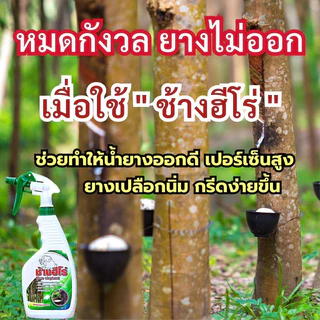 ช้างฮีโร่ (รับประกันของแท้100%)ฮอร์โมนฉีดพ่นหน้ายาง สารสกัดจากสาหร่ายสกัด