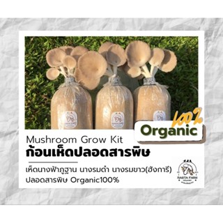 ชุด 5 ก้อน‼️ เห็ดนางฟ้า ภูฐาน/นางรมเทา/ฮังการี/เป๋าฮื้อ/หูหนู/ยานางิ