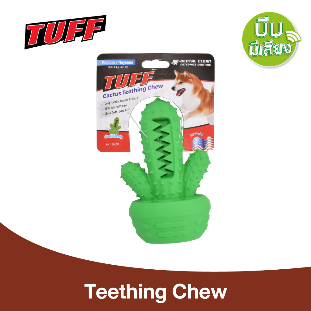 [66097] TUFF Cactus Teething Chew ของเล่นสุนัข ยางกัดขัดฟัน กระบองเพชร ลดคราบหินปูน Size M ขนาด 15.2x9.7x5.1 ซม.