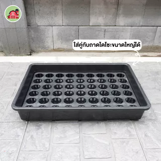 ถาดหลุมกลม 54 หลุม ขนาด 2 นิ้ว แพ็ค5ชิ้น