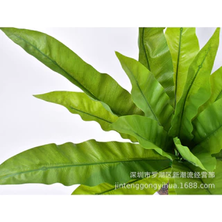 FE-04*พร้อมส่ง*ต้นไม้ปลอมเฟิร์นข้าหลวง 18 ใบ สูง 52 ซม.