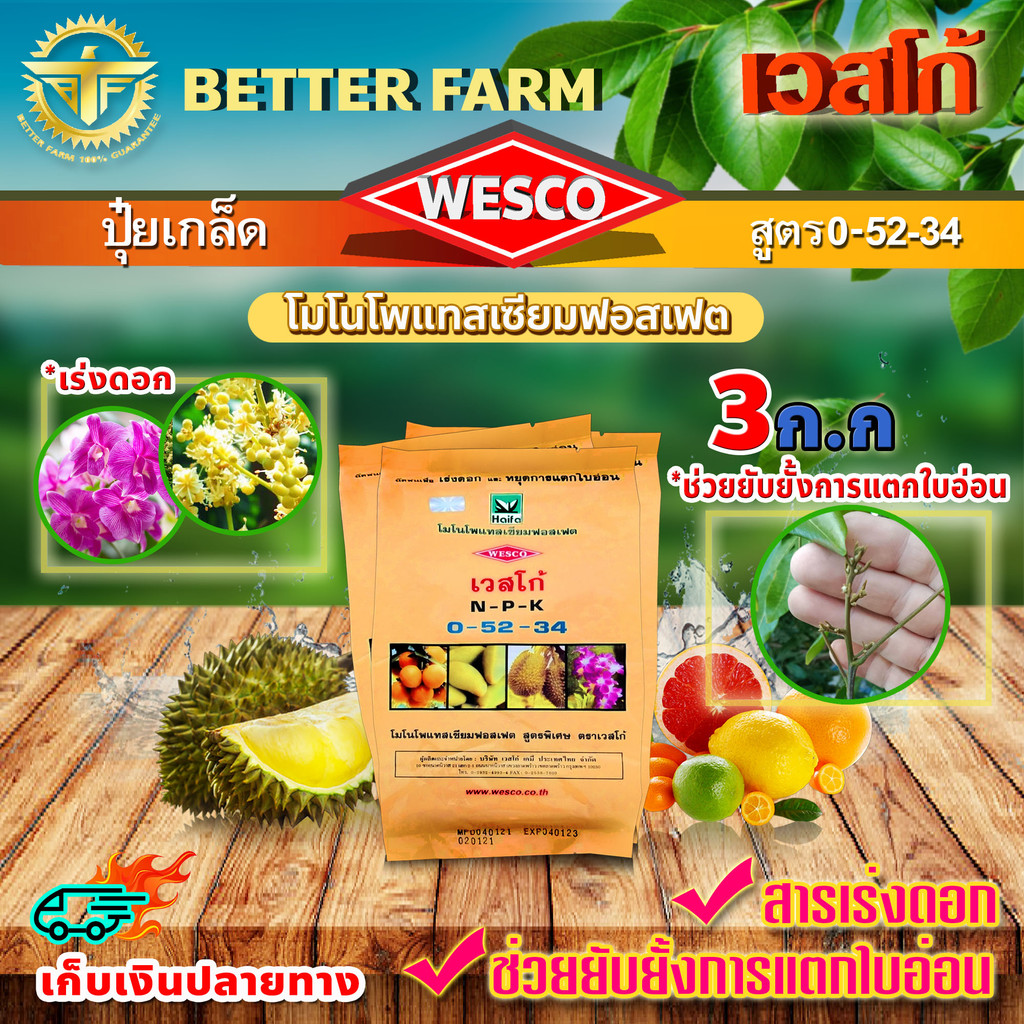 บรรจุ 3 กิโลกรัม WESCO ปุ๋ย 0-52-34 โมโนโพแทสเซียมฟอสเฟต ปุ๋ยเกล็ด เวสโก้ เร่งดอกและช่วยยับยั้งการแต