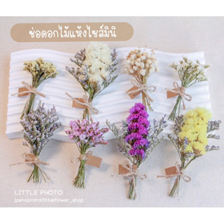 🌼ราคาส่ง🌼ช่อดอกไม่ไซส์มินิ ช่อดอกไม้เเห้ง ราคาส่งช่อละ10บาทขั้นต่ำ50ช่อ