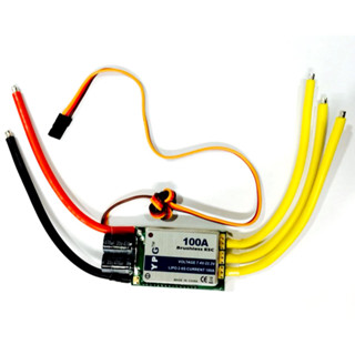 YPG 100A (2~6S) SBEC Brushless Speed Controller