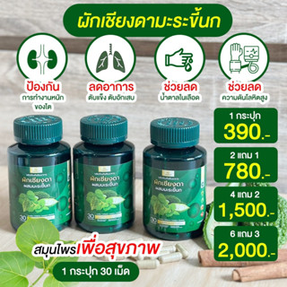 ✅แท้💯 Sn9 ผักเชียงดา มะระขี้นก ลดน้ำตาลในเลือด เบาหวาน ดื้ออินซูลิน ความดัน ไขมัน คอเลสเตอรอล 1 กระปุก 30 แคปซูล