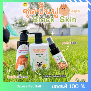 Black Skin ผิวหนังดำ ขนไม่ขึ้นในสุนัขพันธุ์ปอม เนเจอร์พลัส