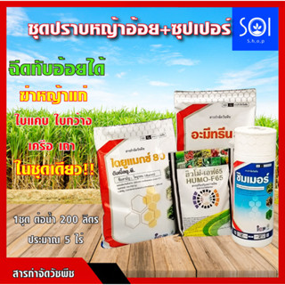 "ชุดปราบหญ้าในไร่อ้อย+ซุปเปอร์" [อะมีทรีน80+ไดยูรอน80+ซิมเมอร์2,4ดี+ฮิวโม่เอฟ200g] ✅ฉีดทับอ้อยได้เลย กำจัดใบกว้าง ใบแคบ